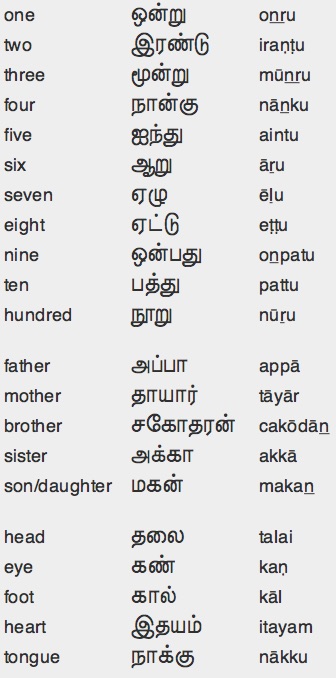 Appearing Meaning In Tamil